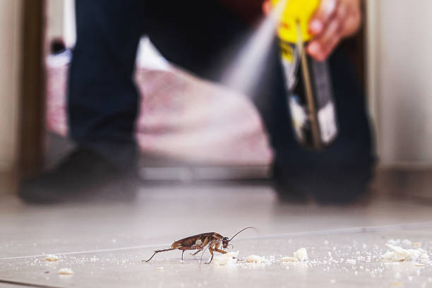 Best Emergency Pest Control  in USA